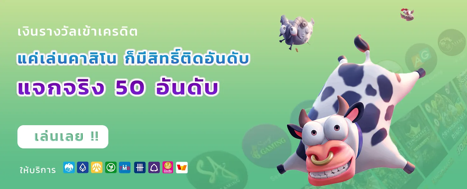 huay989